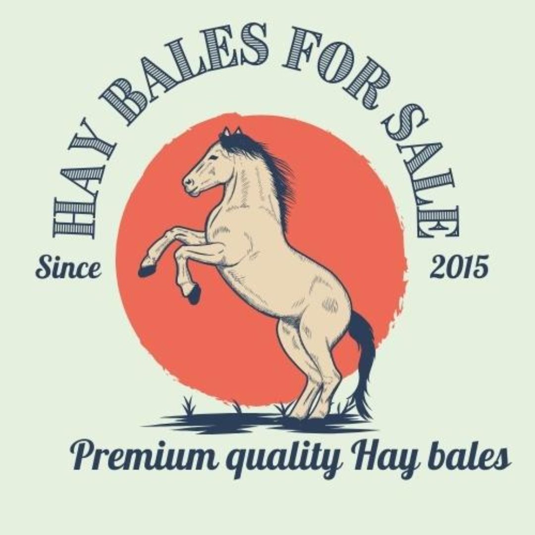 Premium Oat Hay For Sale: Enhance Your Animal’s Diet.